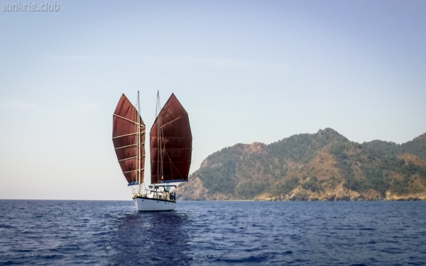 junkrig sail